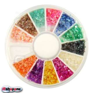 Glitter Crushed Shell Nail Art Tips Decoration Wheel  