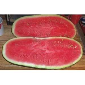  10 Heirloom Jubilee Watermelon seeds 