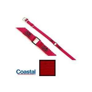  Safety Collar 10   Raspberry