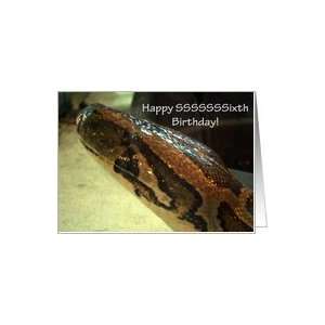  birthday humor 6th snake Card Toys & Games