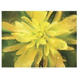  Lola Henry   Painterly Flower VIi Giclee Canvas