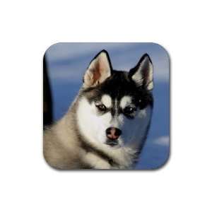  Siberian Husky Puppy Dog 2 Rubber Coaster (4 pack) DD0629 