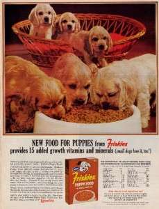 Cocker Spaniel Puppies Friskies Puppy Dog Food 1963 AD  