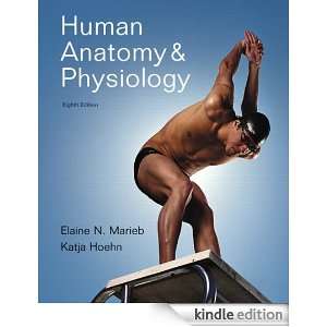 Human Anatomy & Physiology Elaine N. Marieb and Katja Hoehn  