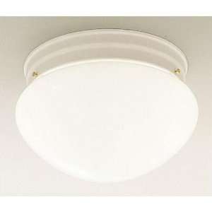  Designers Fountain Ceiling Light 4731 WH