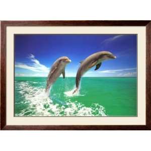  Dolphins Framed Poster Print, 44x32