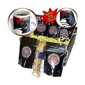 Dogs Boxer   Black White Boxer   Coffee Gift Baskets   Coffee Gift 