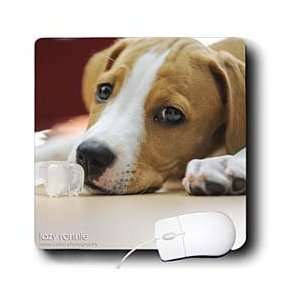   Dog   Tired 2 months old puppy with bone toy   Mouse Pads Electronics