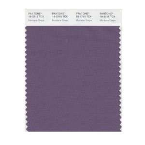  PANTONE SMART 18 3715X Color Swatch Card, Montana Grape 