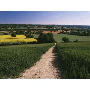 Footpath, Heaversham, Near Sevenoaks, North Downs, Kent, England 