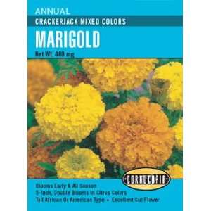  Marigold Crackerjack Mixed Colors Seeds Patio, Lawn 