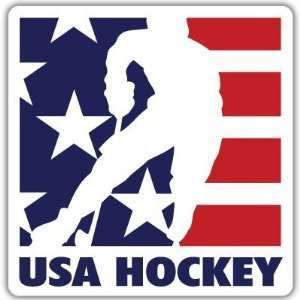  USA National Hockey Team car bumper sticker 4 x 4 