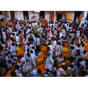  Pilgrims Stock Up on Marigolds Diwali Festival, Varanasi, Uttar 