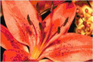 Tiger Lily Counted Cross Stitch Pattern Flower  