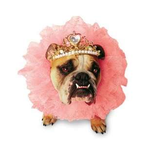  Queen for a Day Pet Costume