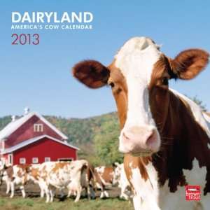  Dairyland Americas Cow Calendar 2013 Wall Calendar 12 X 