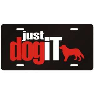   American Brittany  Just Dog It  License Plate Dog