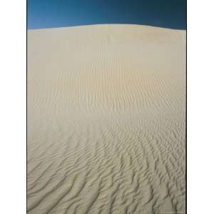  A Wind Rippled Sand Dune in the Little Sahara Desert 