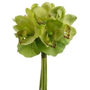  12 Cymbidium Orchid Bouquet Green (Pack of 6)