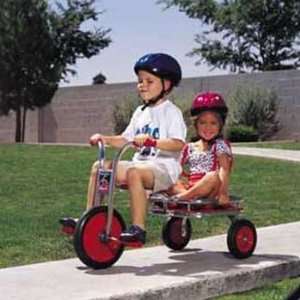Angeles FB0500SR Carry All Trike with Protective Gear  