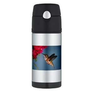   Thermos Travel Water Bottle Female Rufous Hummingbird 
