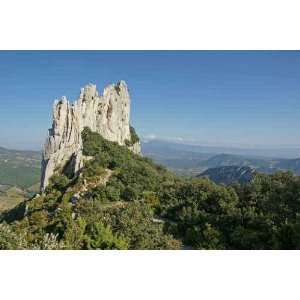  Dentelles De Montmirail   Peel and Stick Wall Decal by 