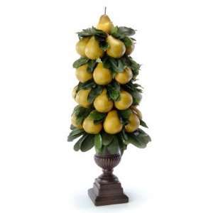  Pear topiary in urn