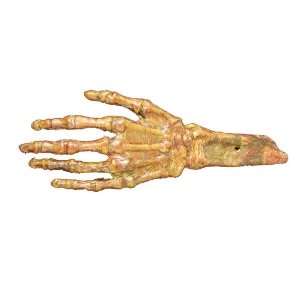  Hand Rotted Flesh And Bone