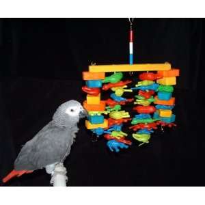  Surfin Safari Bird Toy for African Grey and  