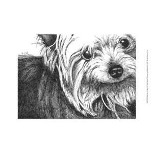  Bella the Yorkie   Poster by Beth Thomas (13x9.5)