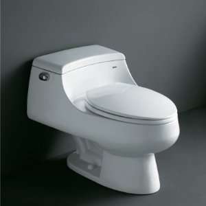 Contemporary European Toilet With Seat Included ElongatedBowl & Stain 