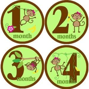  Monkeying Around Girls Monthly Baby Bodysuit Stickers 