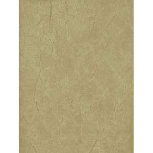   Wallpaper Seabrook Wallcovering Modern Faux FX81207