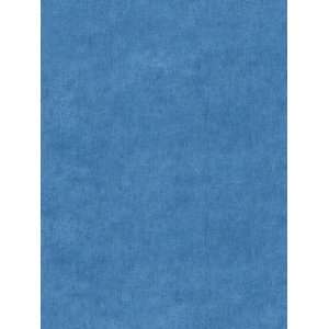  Wallpaper Steves Color Collection Blue BC1581276