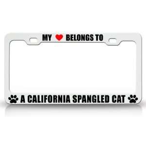 MY HEART BELONGS TO A CALIFORNIA SPANGLED Cat Pet Auto License Plate 