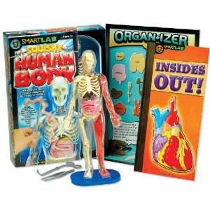  You Explore It Human Body  (6428) Arts, Crafts & Sewing