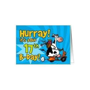  Hurray its your 17th birthday Card Toys & Games