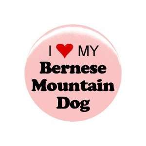  1 Dog I Love My Bernese Mountain Dog Button/Pin 