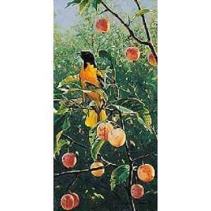 Marc Hanson   Oriole in the Orchard 