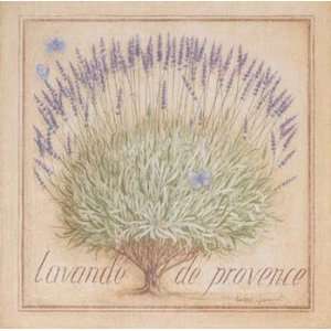 Vincent Jeannerot   Lavande De Provence Size 15.75 x 15.75   Poster by 