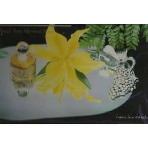    Luxury Silver Plated Vanity Tray W/Grape Design