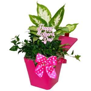  Mothers Day Gift Purse Patio, Lawn & Garden