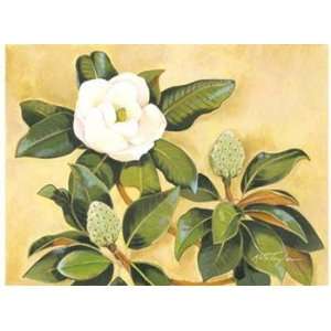  Southern Magnolia II   Poster by Kris Taylor (12x9)