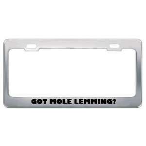 Got Mole Lemming? Animals Pets Metal License Plate Frame Holder Border 