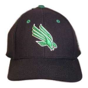  North Texas Mean Green Fitted Hat