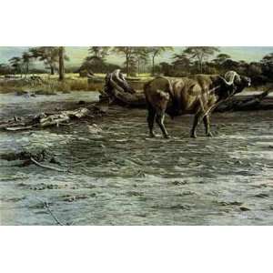 Robert Bateman   Buffalo at Amboseli