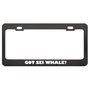Got Sei Whale? Animals Pets Black Metal License Plate Frame Holder 