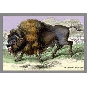   Paper poster printed on 20 x 30 stock. American Bison