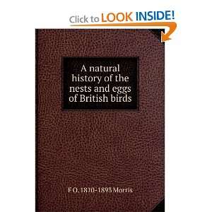  A natural history of the nests and eggs of British birds 