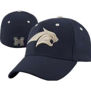  Montana State Bobcats Team Color Top of the World Flex Fit 